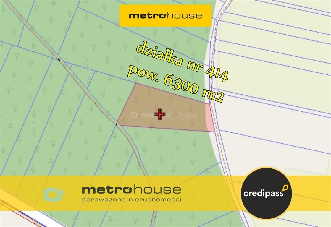 Działki leśne 1,64 ha z drzewostanem, idealne na opał Bakuła  16 400m2 Foto 1