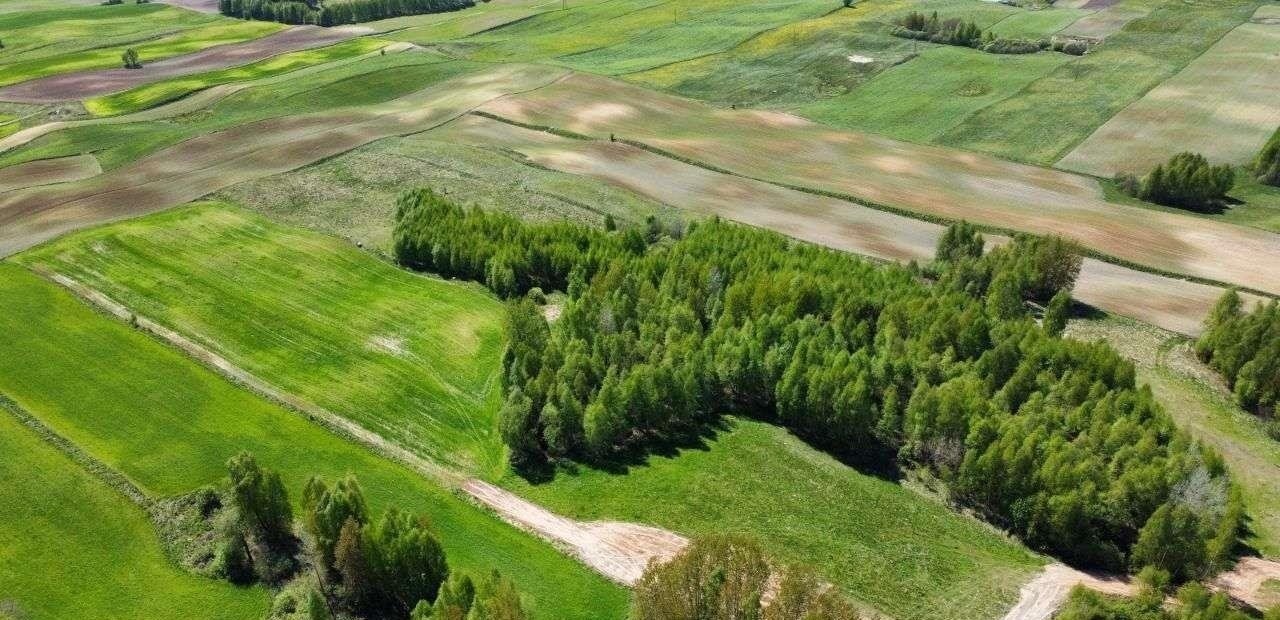 Działka rolna na sprzedaż Krasnopol  3 000m2 Foto 3