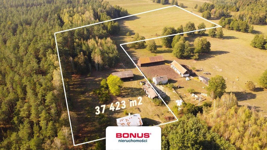 Klasyczne siedlisko 160 m2 - 3,74 ha lasu i rozbudowy Piwnice Wielkie  160m2 Foto 1