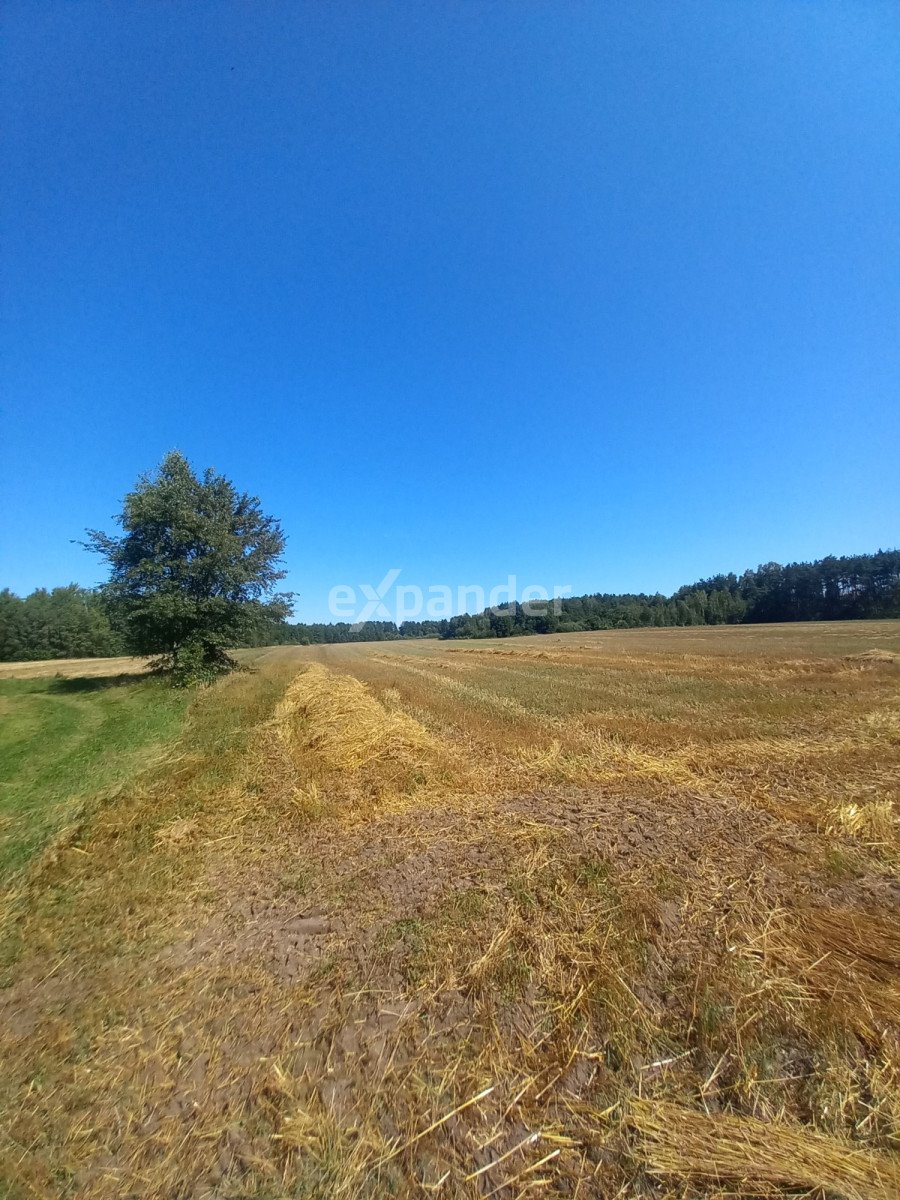 Działka rolna na sprzedaż Blinno  13 200m2 Foto 2