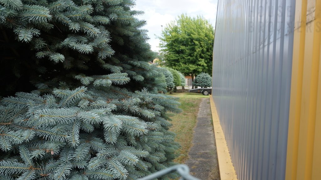 Lokal użytkowy na wynajem Łomża, Spokojna  1 400m2 Foto 8