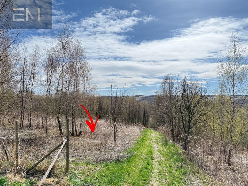 Działka rekreacyjna na sprzedaż Glinik Górny  2 500m2 Foto 1