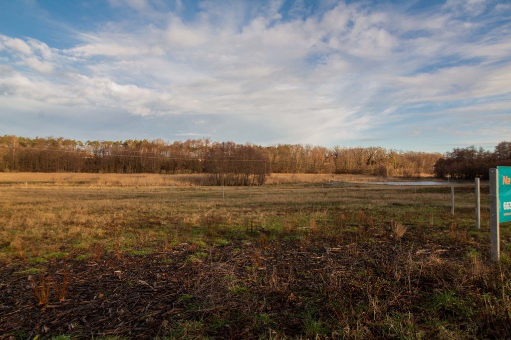 Działka budowlana na sprzedaż Żary, Bociania  889m2 Foto 14