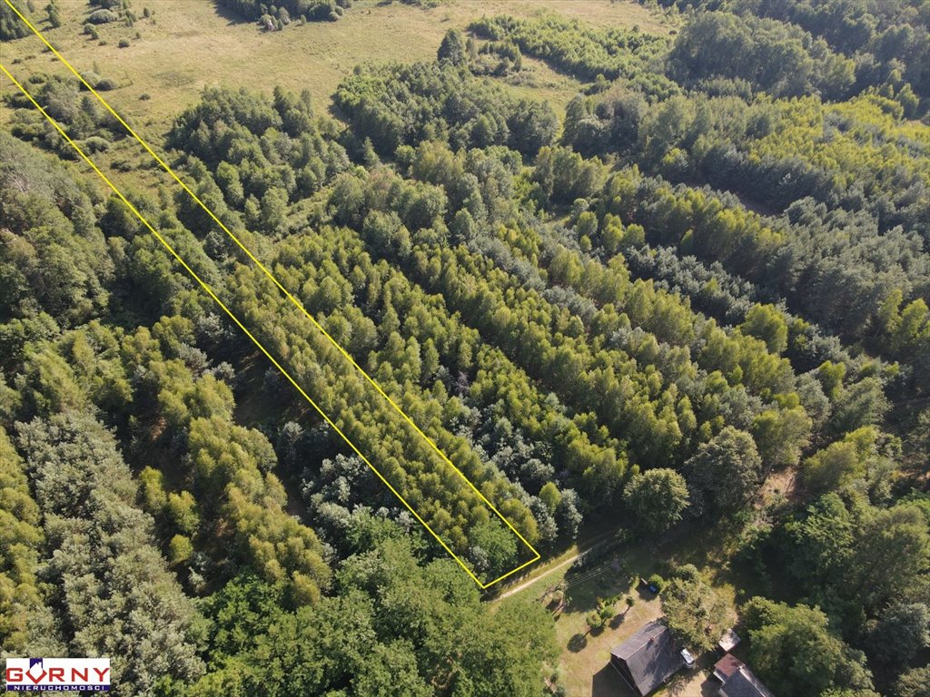 Działka inna na sprzedaż Stobnica-Piła  7 300m2 Foto 7