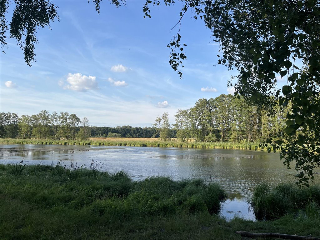 Dwie leśne działki w Wieliszewie, 2380 m2, cisza i spokój Wieliszew, Wieliszew, Kwietniówka  2 380m2 Foto 1