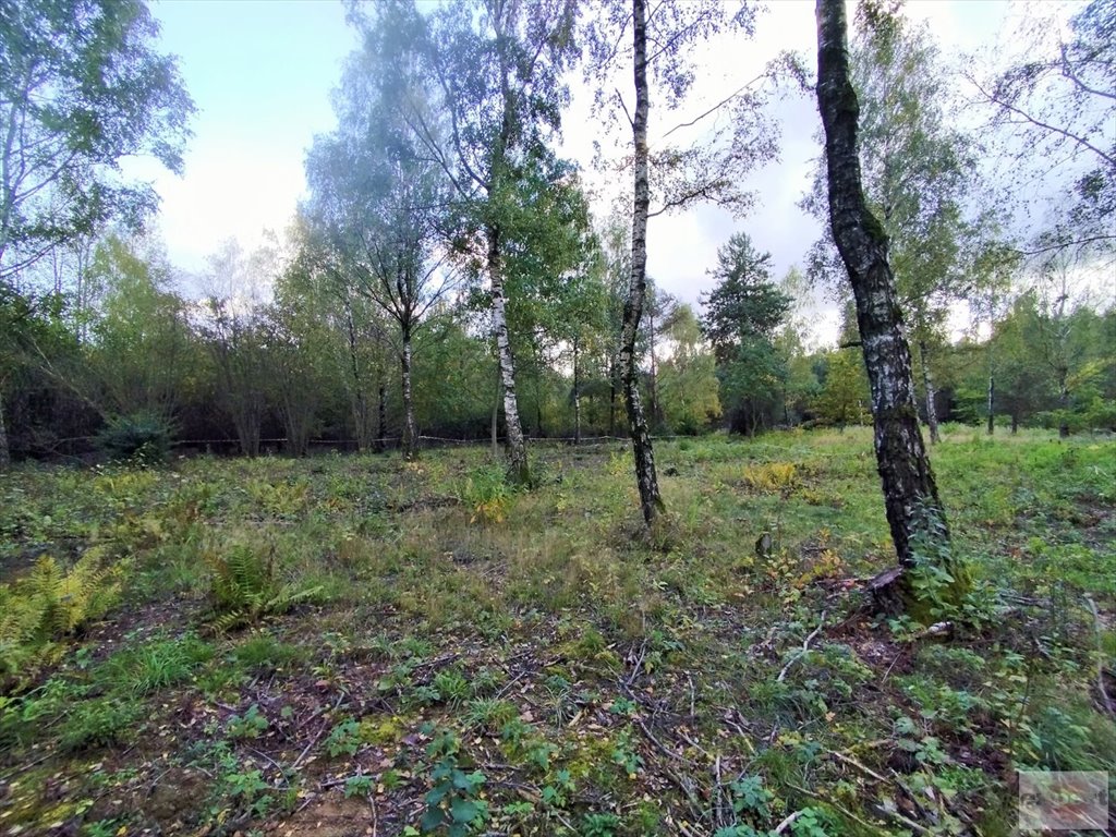 Działka budowlana na sprzedaż Kopanka  4 484m2 Foto 1