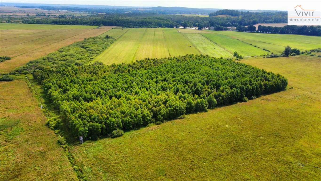 Działka inna na sprzedaż Rzuszcze  30 900m2 Foto 7