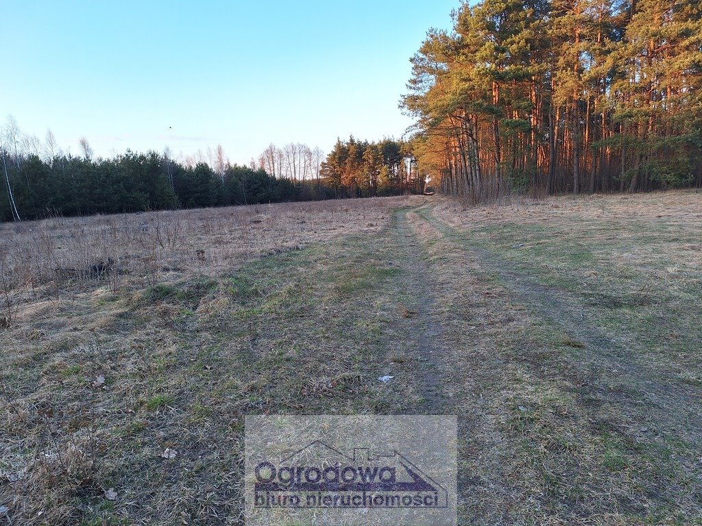 Polecam działkę 46 000 m² przy DK50 z planem usług i zabudową Zawiszyn  46 000m2 Foto 1