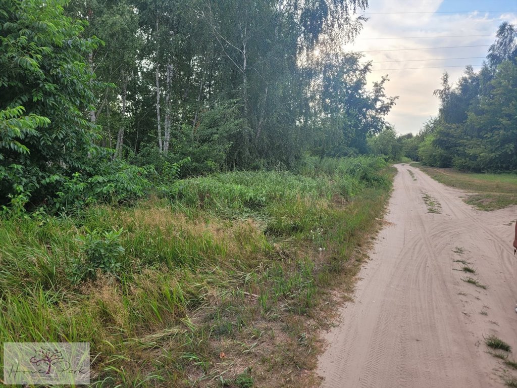 Działka inna na sprzedaż Sokolniki-Las  4 950m2 Foto 3