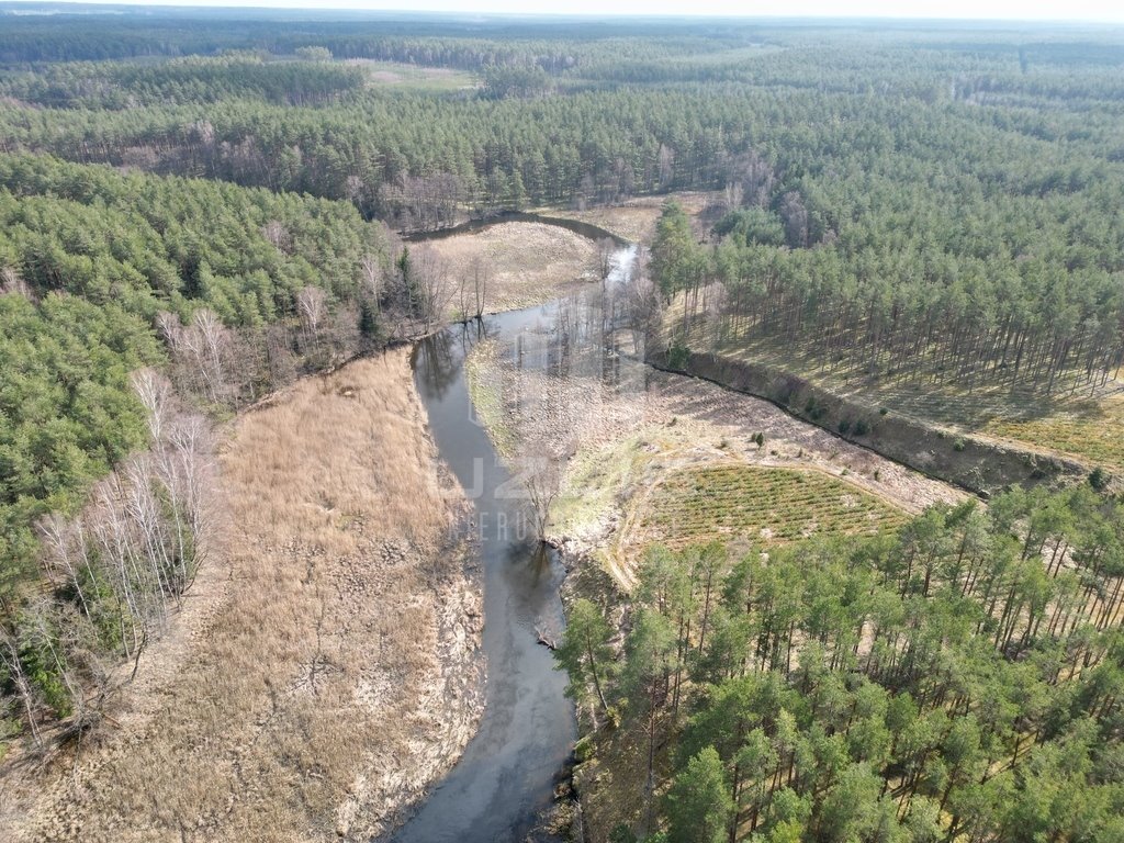 Działka leśna na sprzedaż Krępki  12 611m2 Foto 2