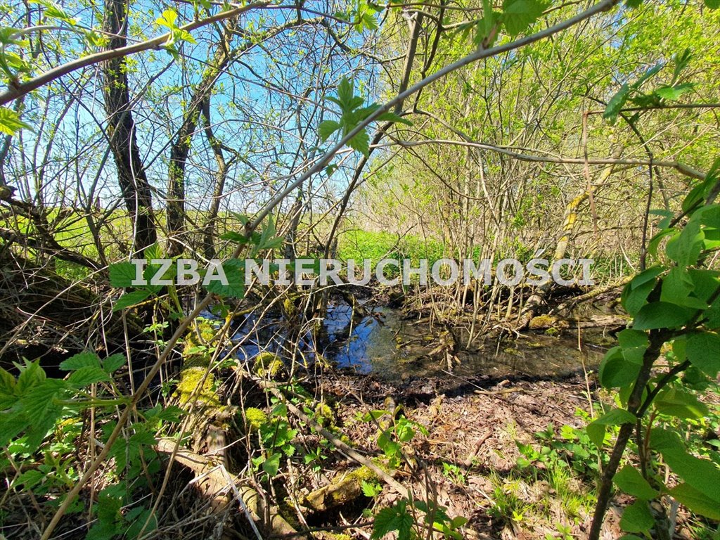 Działka budowlana na sprzedaż Ginie  3 961m2 Foto 11