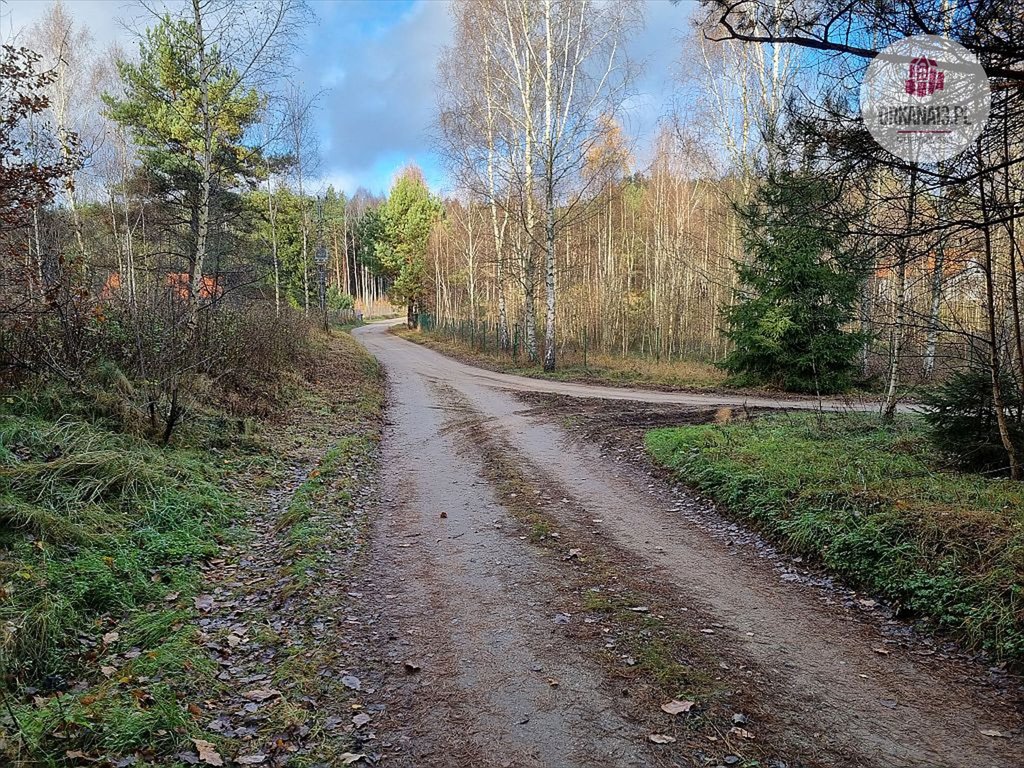 Działka rolna na sprzedaż Stękiny, Stękiny  18 707m2 Foto 11