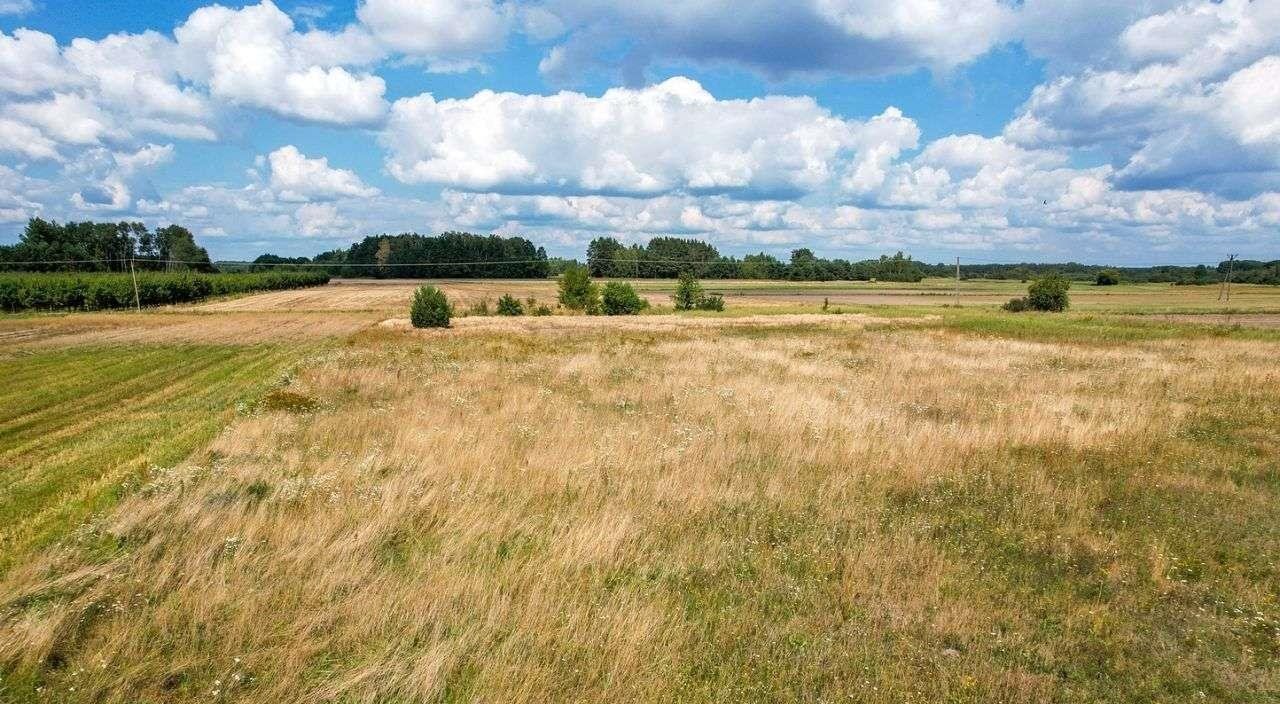 Działka budowlana na sprzedaż Stare Żdżary  970m2 Foto 7