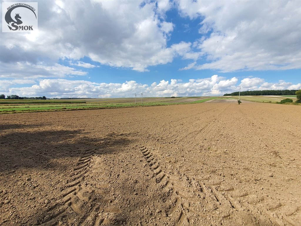 Działka budowlana na sprzedaż Czaple Małe  3 000m2 Foto 3