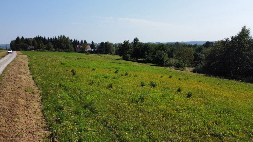 Działka budowlana na sprzedaż Nowy Borek  4 175m2 Foto 8