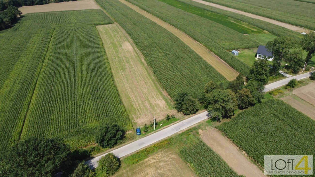 Działka budowlana na sprzedaż Borzęcin  4 400m2 Foto 3