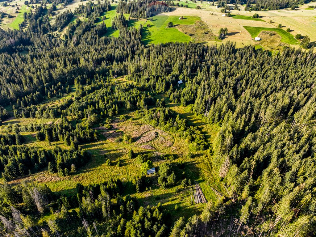 Działka rolna na sprzedaż Dzianisz  6 560m2 Foto 14