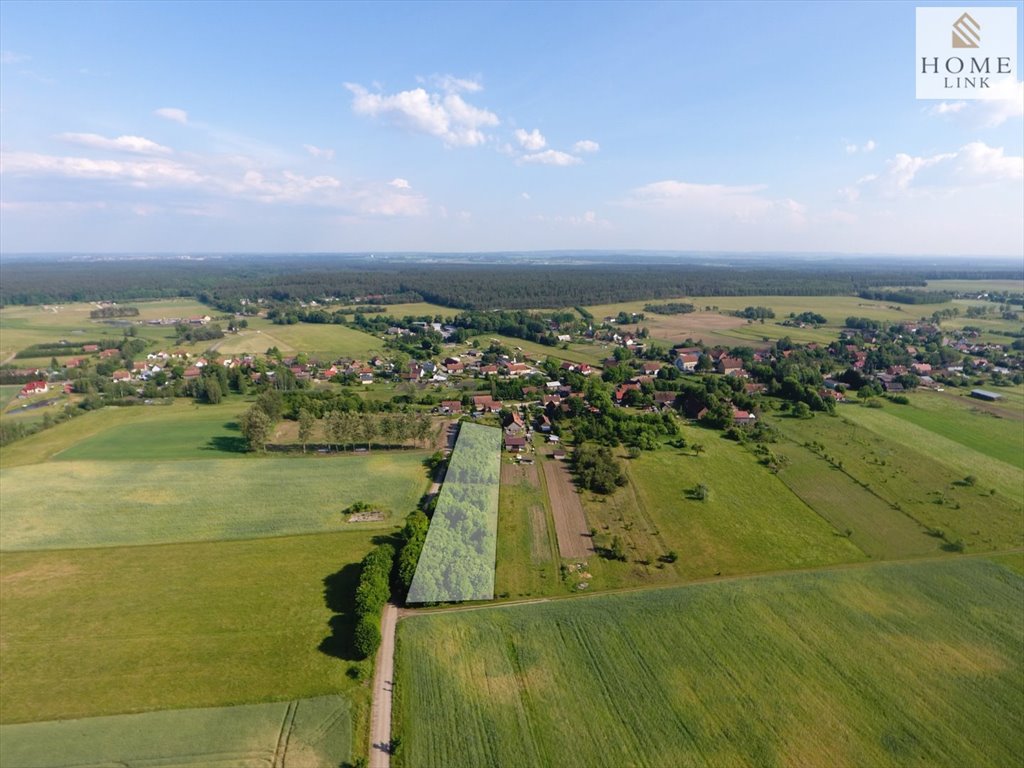 Działka budowlana na sprzedaż Liwa, Zielona  5 000m2 Foto 1