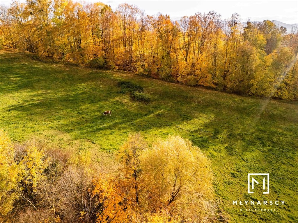 Działka budowlana na sprzedaż Jasienica, Jasienica  1 000m2 Foto 15