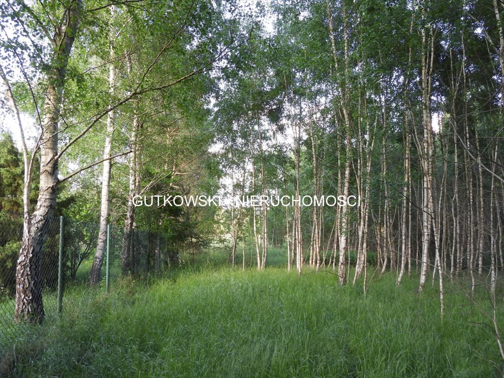 Działka 1,18 ha z dostępem do jezior i lasów w Otrębie Otręba  11 837m2 Foto 1