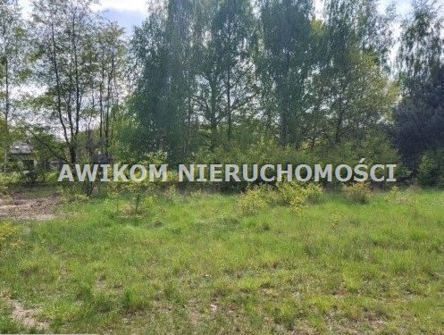 Działka budowlana na sprzedaż Chrzanów Mały  1 512m2 Foto 3