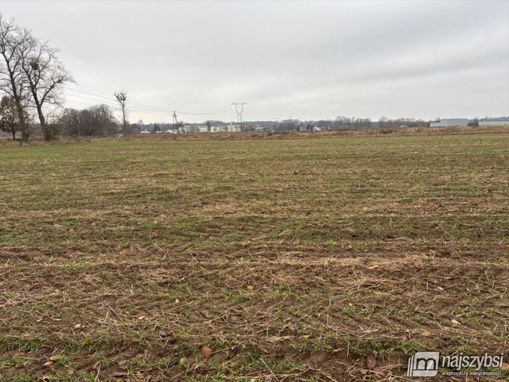 Działka przemysłowa 1,52 ha z mediami i dojazdem asfaltowym Radowo Małe  1 520m2 Foto 1