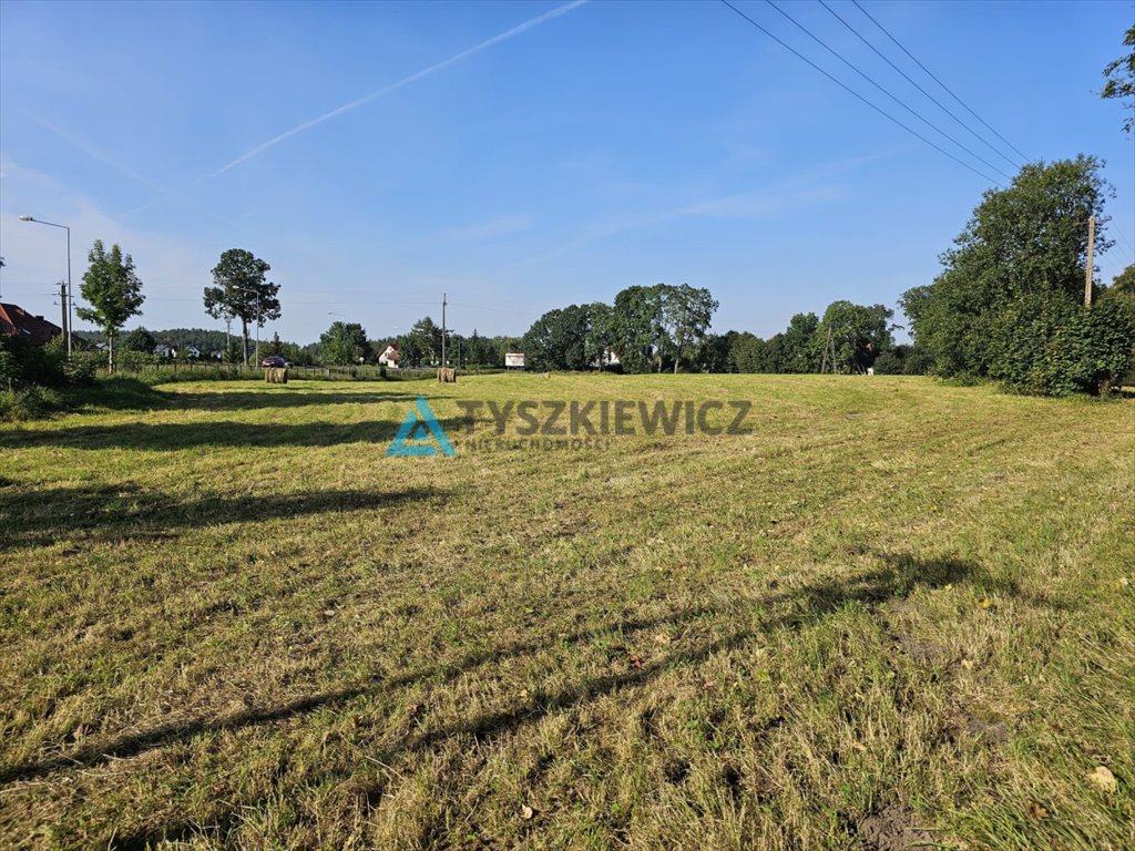 Działka budowlana na sprzedaż Dąbie  16 000m2 Foto 3