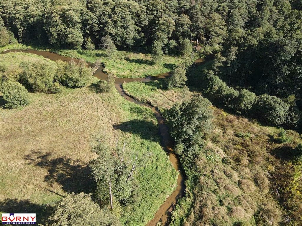 Działka inna na sprzedaż Kałek  5 000m2 Foto 5