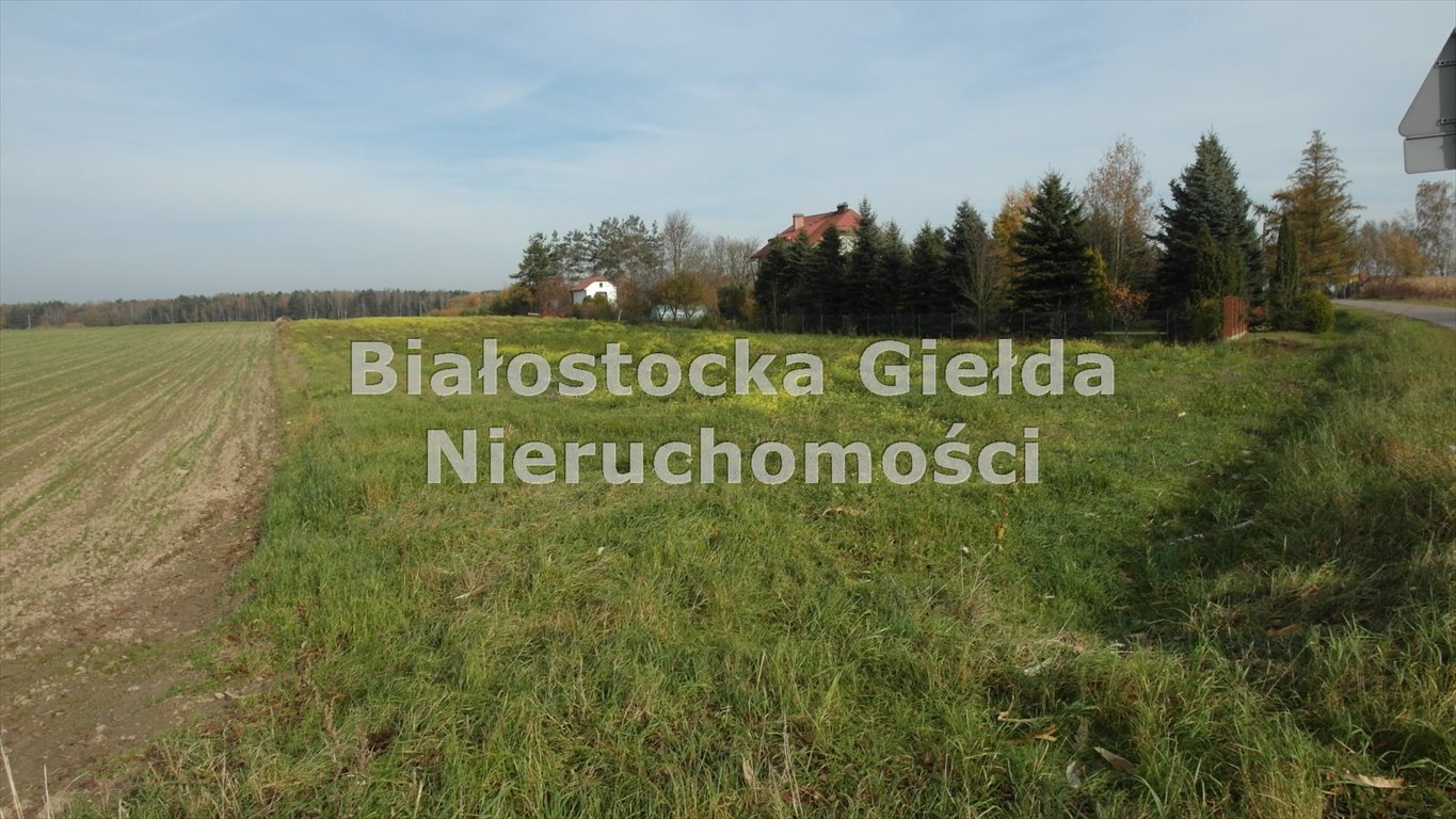 Działka rolna z warunkami zabudowy, 3624 m², dojazd asfaltowy Hołówki Duże  3 624m2 Foto 1