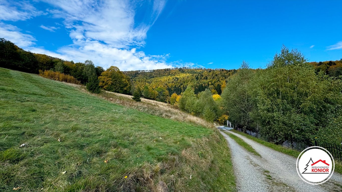 Działka budowlana na sprzedaż Szczyrk, Biła  2 914m2 Foto 2