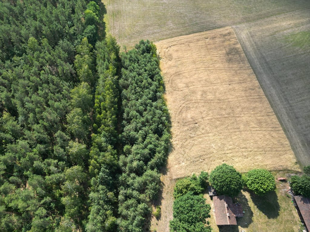 Działka budowlana na sprzedaż Jerominy  3 705m2 Foto 1