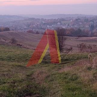 Działka budowlana na sprzedaż Raciborsko, raciborsko  90 000m2 Foto 3