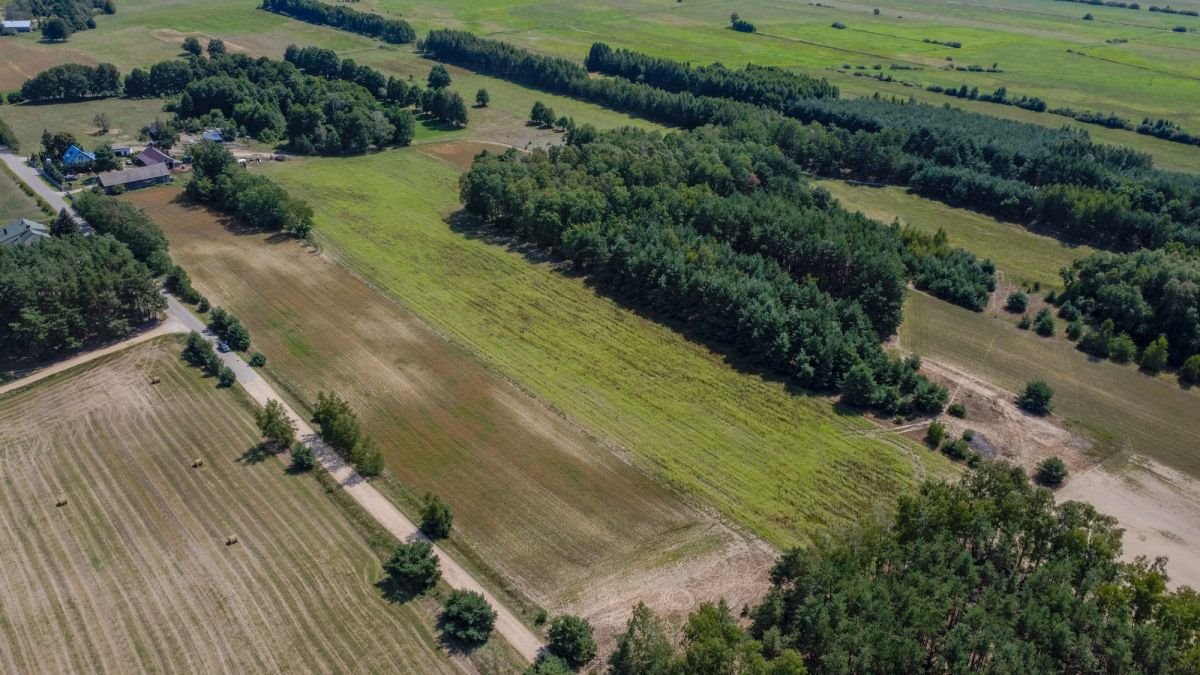 Działka budowlana na sprzedaż Marianowo  29 831m2 Foto 2