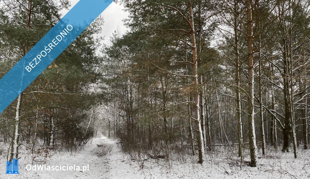 Mieszkanie trzypokojowe na sprzedaż Jabłonna  50m2 Foto 16