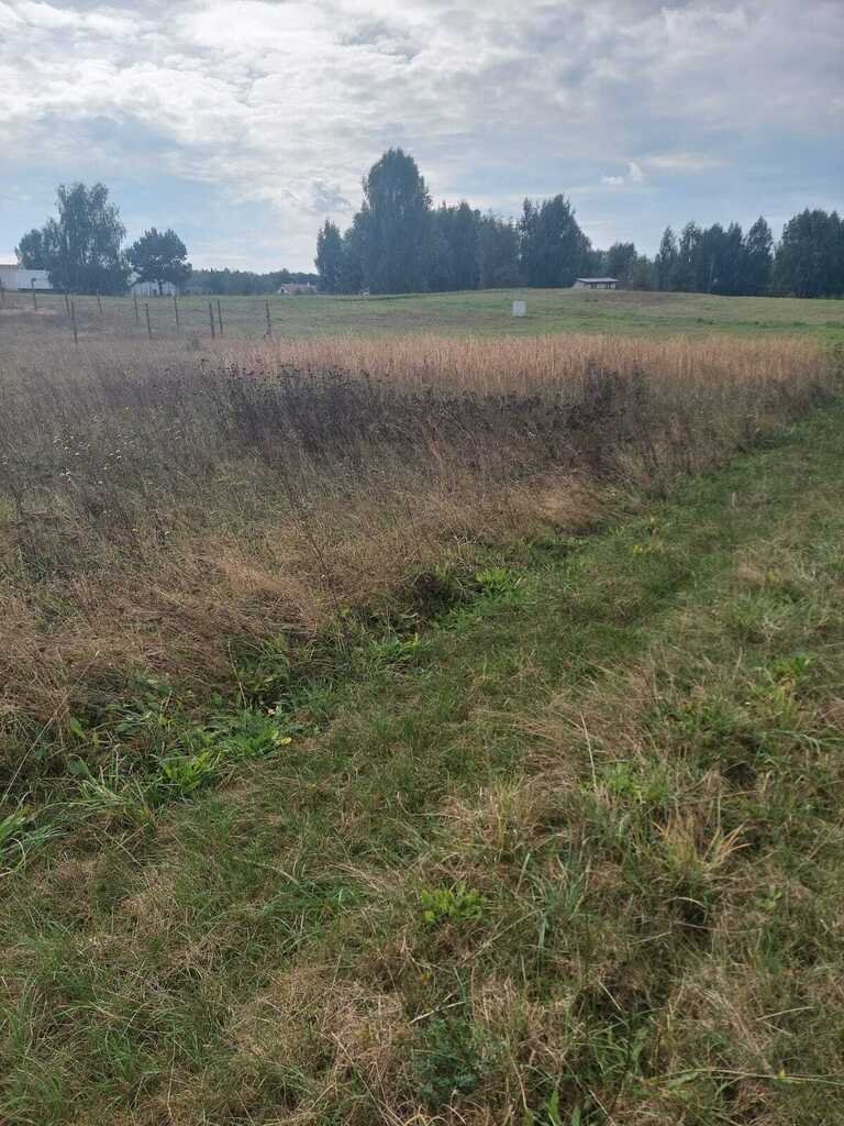 Działka budowlana na sprzedaż Kiczarowo  966m2 Foto 1