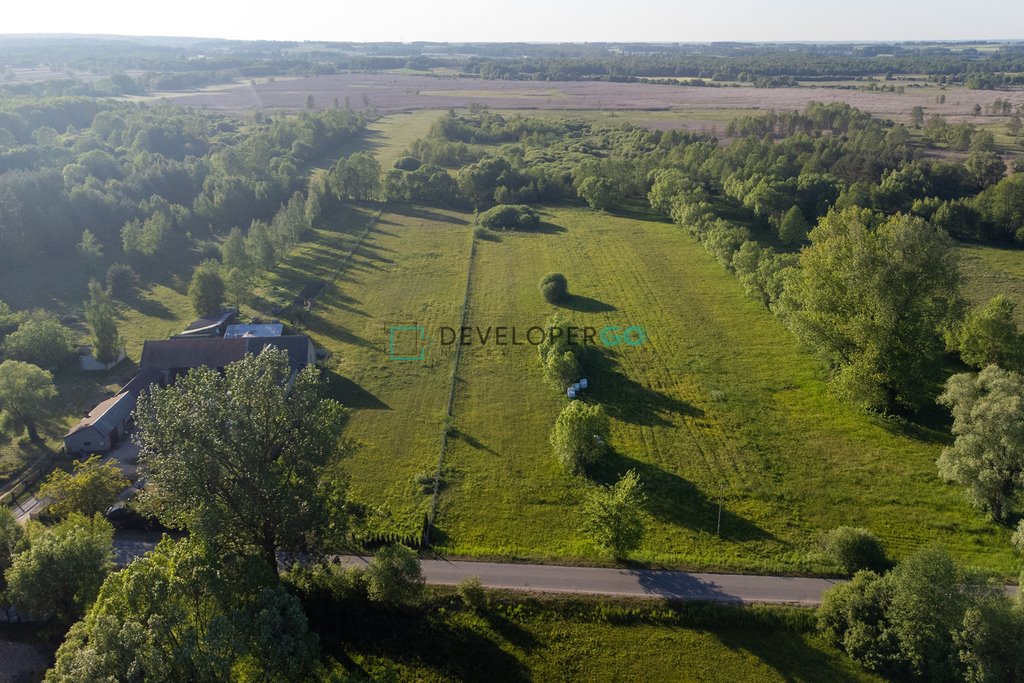 Działka rolna na sprzedaż Rogowo  7 400m2 Foto 1