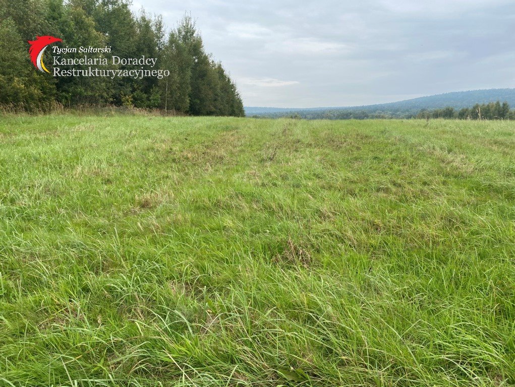 Działka leśna na sprzedaż Masłów Drugi  143 900m2 Foto 5