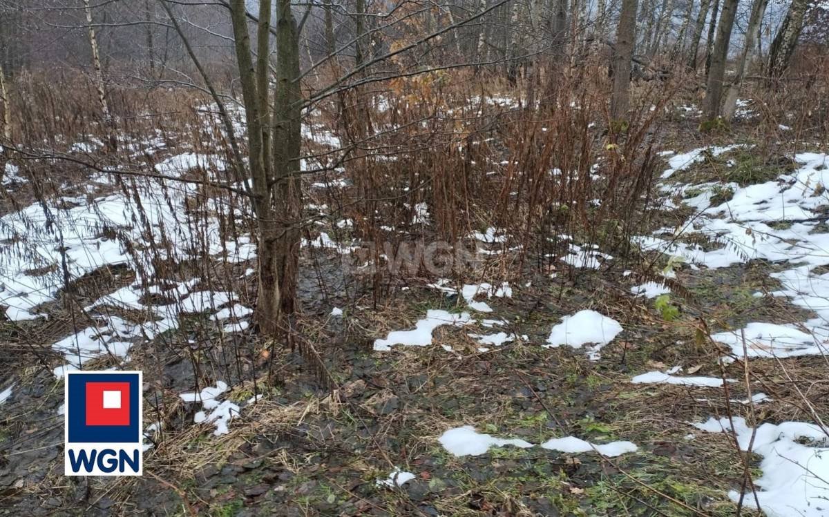 Działka rolna na sprzedaż Płaza, Płaza Dolna  4 434m2 Foto 1