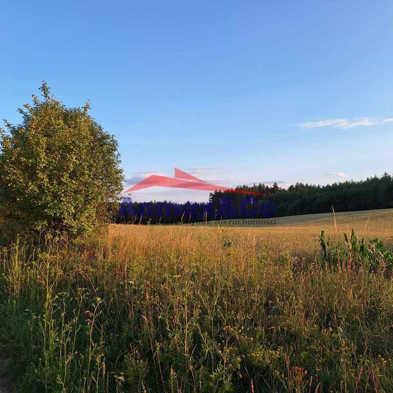 Działka budowlana na sprzedaż Strzelniki  3 900m2 Foto 1