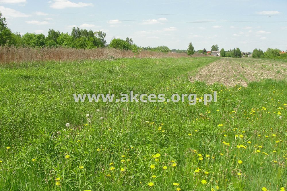 Działka budowlana na sprzedaż Jesówka  1 598m2 Foto 6