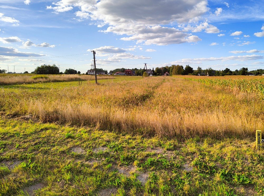 Działka budowlana na sprzedaż Mieczysławów  5 140m2 Foto 7