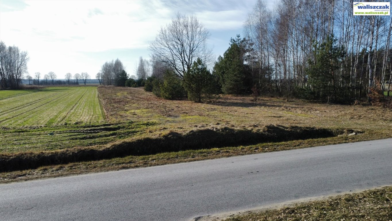 Działka rolna 2500 m² w Wójcinie – atrakcyjna cena! Wójcin  2 500m2 Foto 1