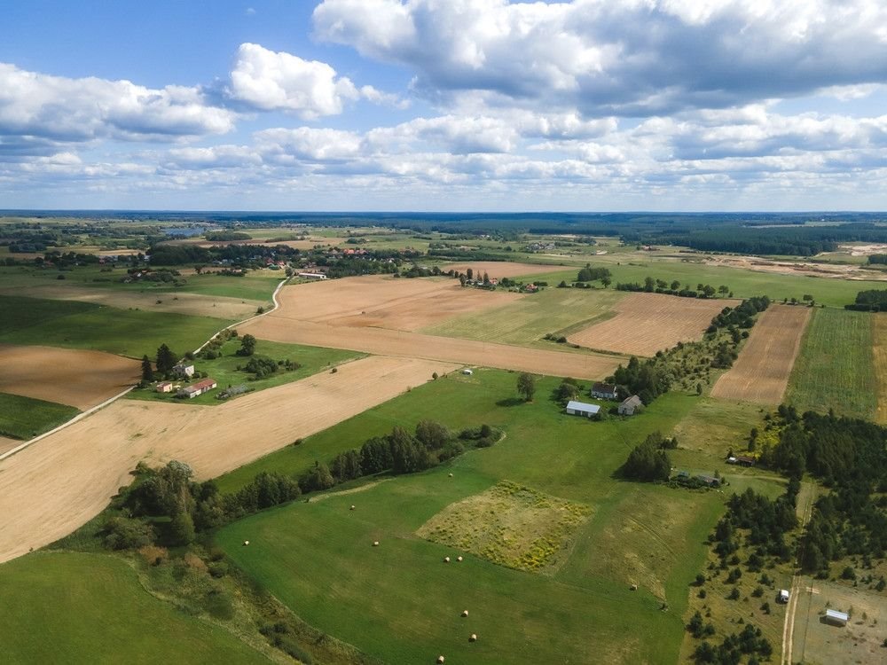 Działka rolna na sprzedaż Targowo  3 365m2 Foto 6