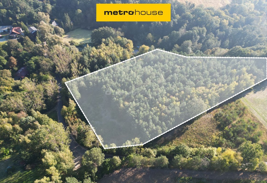 Działka 1,32 ha z lasem i pozwoleniem na budowę Nowa Wieś  13 200m2 Foto 1