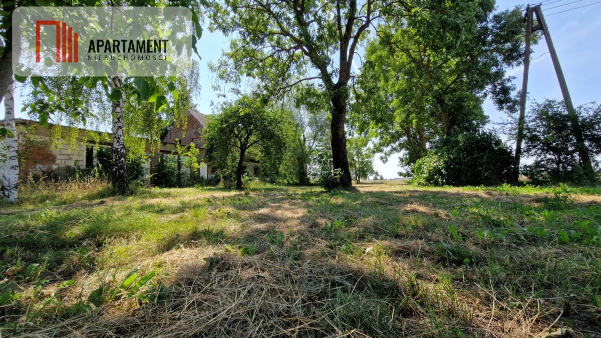 Działka z budynkiem i stawem w Słębowie – duża i zalesiona Słębowo  3 000m2 Foto 1