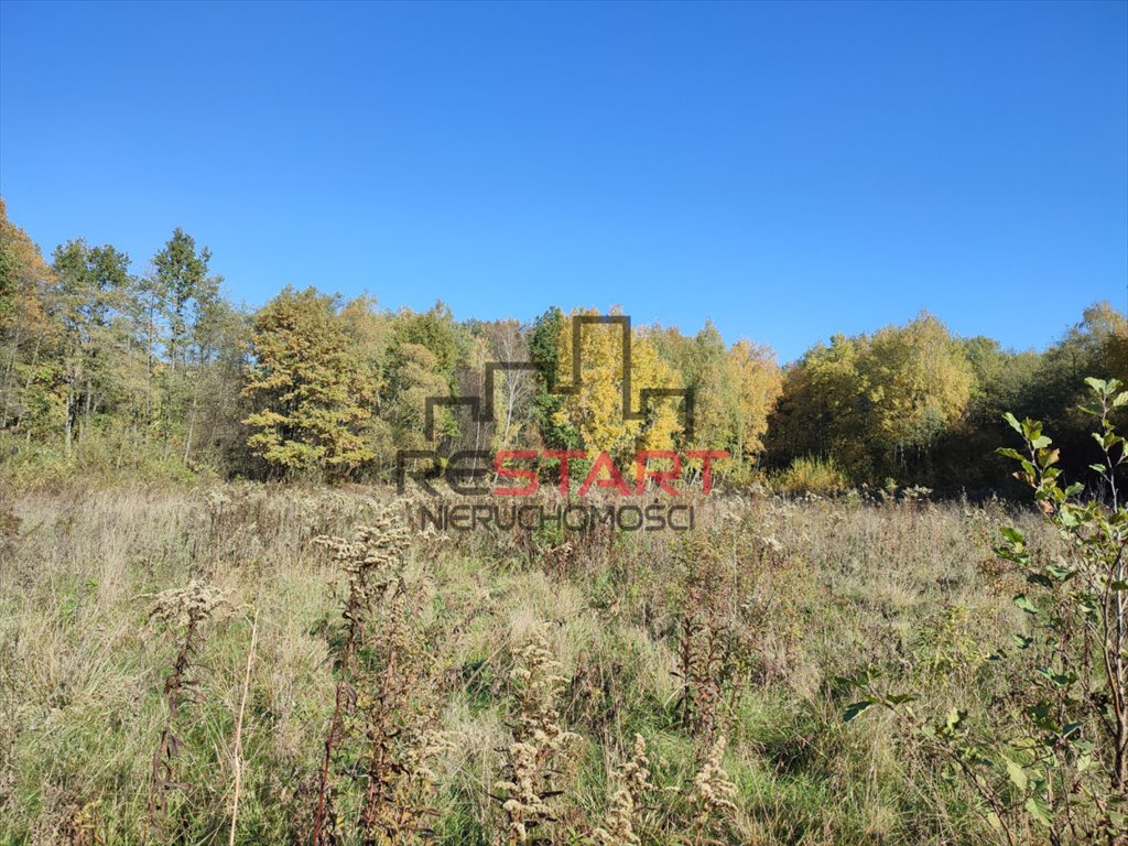 Działka rolna na sprzedaż Adamów-Parcel  20 800m2 Foto 1