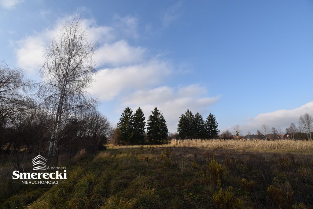 Działka budowlana na sprzedaż Okszów, Sosnowa  3 966m2 Foto 10