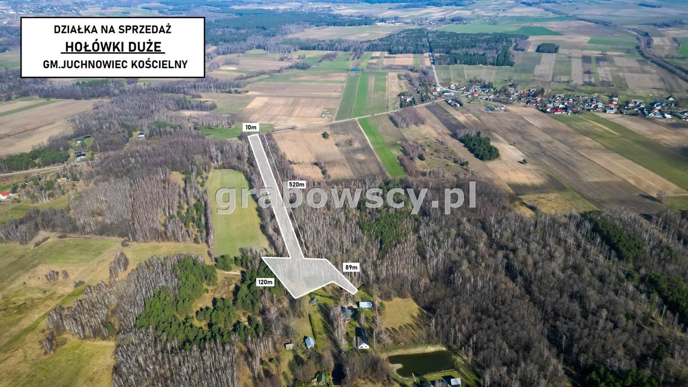 Działka siedliskowa 11 700 m² z warunkami zabudowy, las, łąki Hołówki Duże  11 700m2 Foto 1