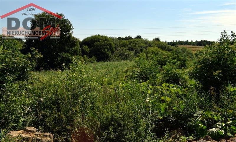 Działka inna na sprzedaż Gudowo  5 600m2 Foto 11