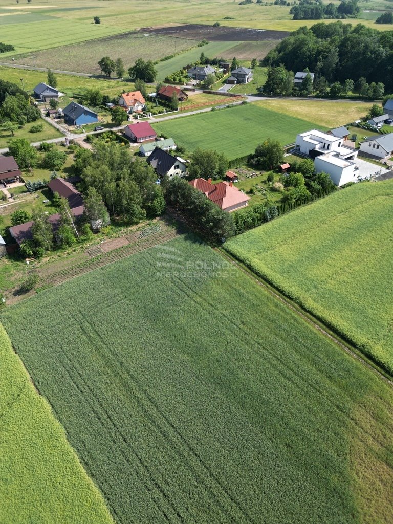 Działka budowlana na sprzedaż Wilczyn  1 000m2 Foto 5